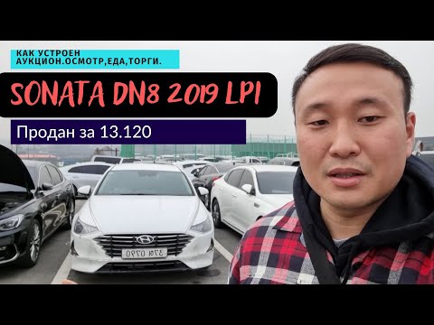 Видео: Авто из Кореи.Как устроен аукцион.SONATA DN8 (2019)2.0 LPI за 13.120$