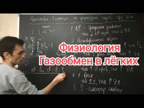 Видео: Физиология дыхание. Газообмен в лёгких. Альвеолярно - капиллярное мембрана.