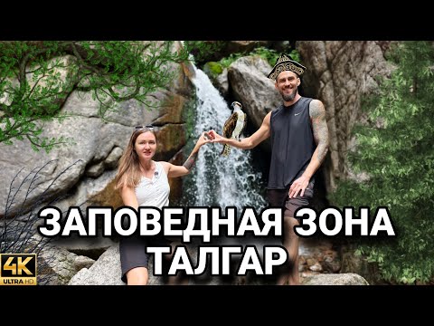Видео: В сердце Талгарского ущелья: водопад Монашка и форелевая ферма