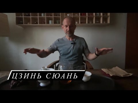 Видео: Цзинь Сюань.