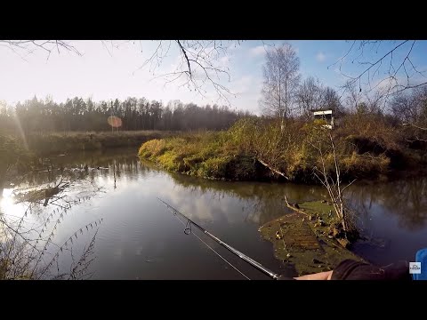 Видео: Ловим щуку в деревне. Поставухи, браконьеры, "телевизоры" и прочее зло. Но рыбу поймали | ВихровLIFE