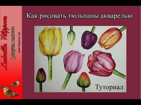 Видео: Как рисовать тюльпаны акварелью. Туториал.