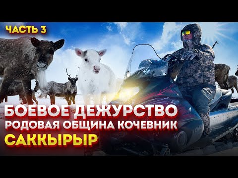 Видео: Боевое дежурство. Родовая община Кочевник. Саккырыр.