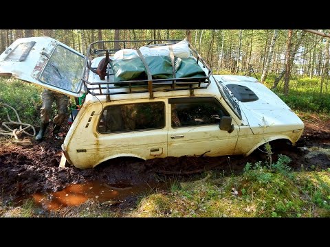 Видео: Рыбалка с ночевкой в глуши. Смех сквозь слезы, полный треш!