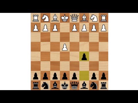 Видео: Дебютные ловушки в шахматах. Сицилианская защита