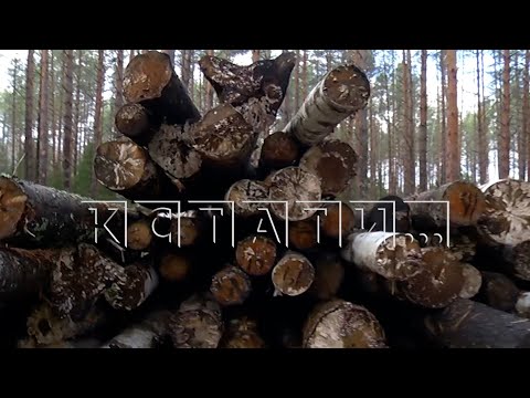 Видео: Лесопромышленники рубят лес и сотнями кубов оставляют гнить на делянках
