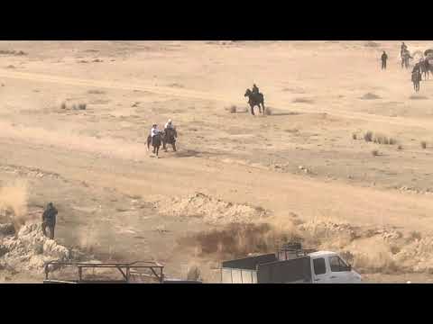 Видео: Кыргыз кунан күлүк. 16.11.2025  Кыргыз жоргосу майрамы