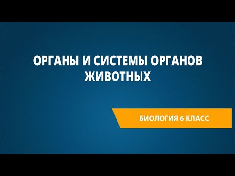Видео: Органы и системы органов животных