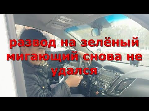 Видео: Развод на зелёный мигающий снова не удался. Глас народа