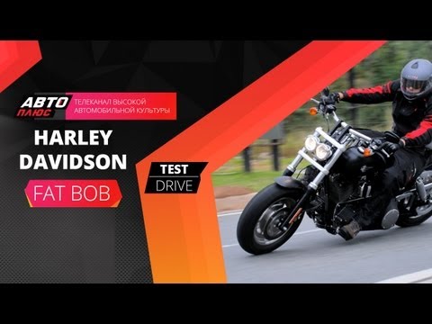 Видео: Тест-драйв Harley Davidson FAT BOB (Наши тесты)