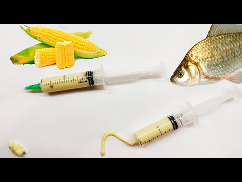 Видео: Как манная болтушка, НО ТОЛЬКО ЛУЧШЕ! Как сделать Кукурузная болтушку для рыбалки в шприце самому