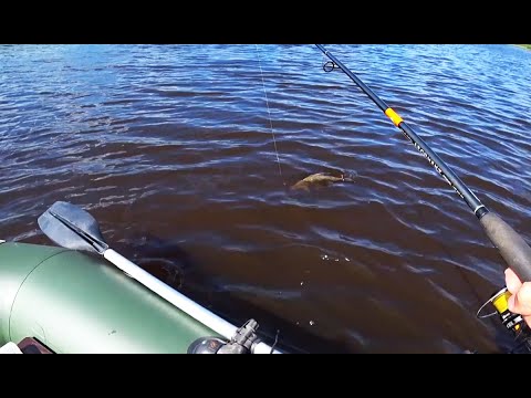 Видео: Джиг Опять Удивляет!!! Рыбалка на Любимой Реке!!!