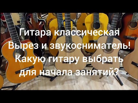 Видео: Гитара классическая EQ. Вырез и звукосниматель! Где купить гитару?| Мьюзик-Стор! musik-store.ru