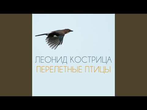 Видео: Перелетные Птицы