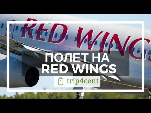 Видео: Отзыв о полете Red Wings (Ред Вингс)