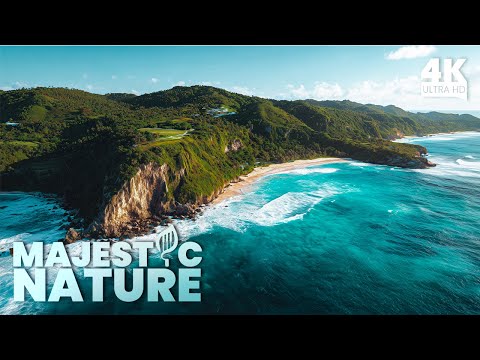 Видео: Величественная природа | Пианино у моря 🌊 | Успокаивающие виды с воздуха для успокоения ума 🎹