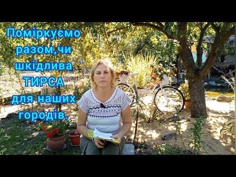 Видео: ТИРСА-СУПЕРДОБРИВО для саду і городу🌳#можнавикористовуватитирсунагороді#сосноватирса#тирса#сад#дача