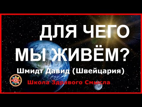 Видео: Для чего мы живём? Давид Шмидт (Швейцария)