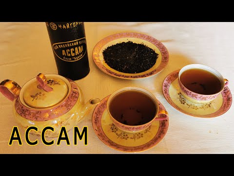 Видео: Самый ПОПУЛЯРНЫЙ в мире чай - АССАМ
