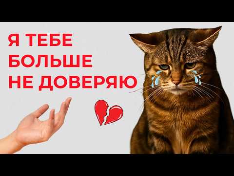 Видео: КОШКА этого НЕ ПРОСТИТ 💔