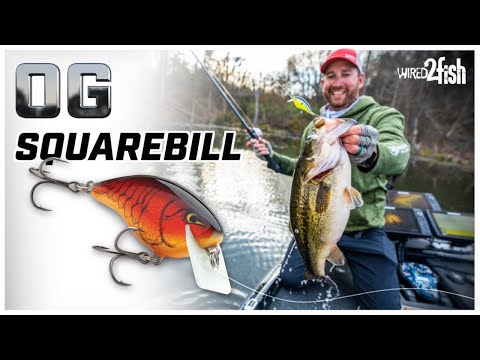 Видео: Squarebill Crankbait: круглогодичный успех с Оттом Дефо