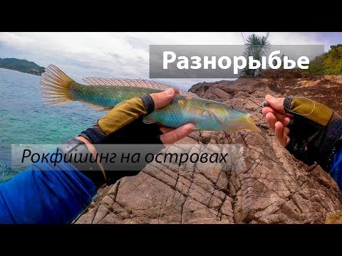 Видео: 🇻🇳 Остров Hòn Miễu, Вьетнам. Рокфишевое разнорыбье, микроджиг. 2017/07.
