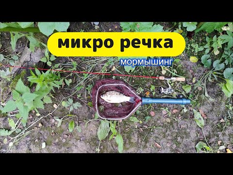 Видео: #мормышинг | Микро речка |