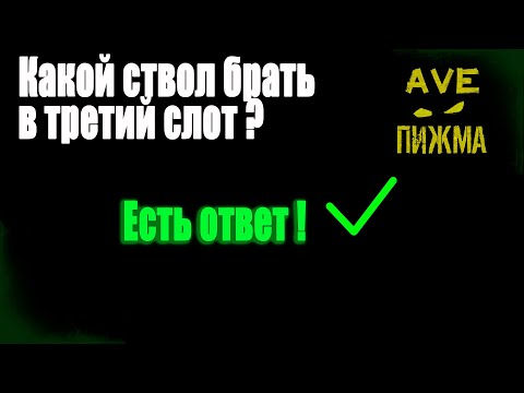 Видео: |Сталкер онлайн / Stay out / SO| Какой лучше ствол взять в 3й слот ? Есть решение ! Храни вас ПИЖМА!