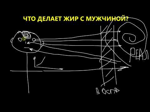 Видео: Что делает ЖИР с Мужчиной? Шокирующая информация, про которую все молчат