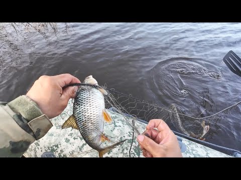 Видео: ПРОВЕРКА СЕТЕЙ В МОРОЗНОЕ УТРО. РЫБА РАЗНАЯ, ЩУКА, ЯЗИ. РЫБАЛКА НА СЕТИ С ЛОДКИ РОКИ 375.