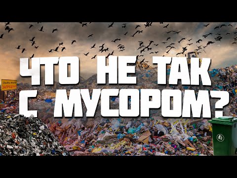 Видео: 🚯 ЧТО НЕ ТАК С МУСОРОМ?