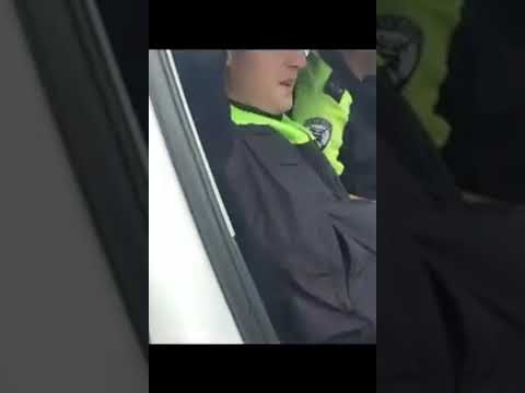Видео:  Экипаж Полка ДПС РД. 