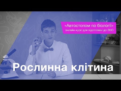 Видео: Рослинна клітина – Підготовка до ЗНО – Біологія