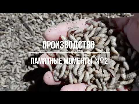 Видео: ПРОИЗВОДСТВЕННЫЕ МОМЕНТЫ №2