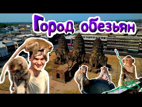 Видео: 4K: Город обезьян Таиланд (Thailand)