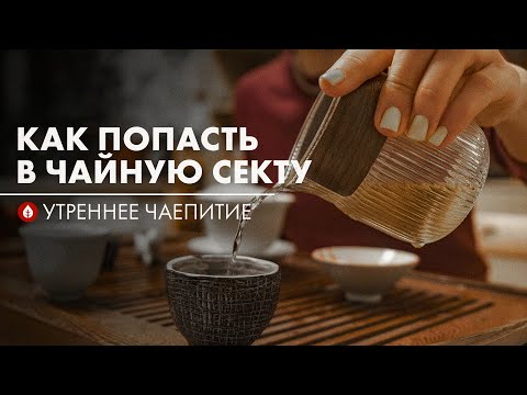 Видео: С чего начинается чай | Стрим Art of Tea с подписчиком