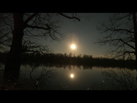 Видео: Сплав по р.Шижегде.оз Венецкая Старица,оз. Долгое ,р.Клязьма,устье р.Тезы ,урочище Белая Гора.2023г.