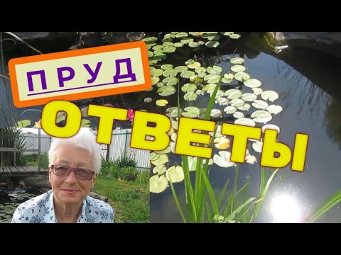 Видео: Мой плёночный пруд. Всё о плёночном пруде на даче и его обитателях