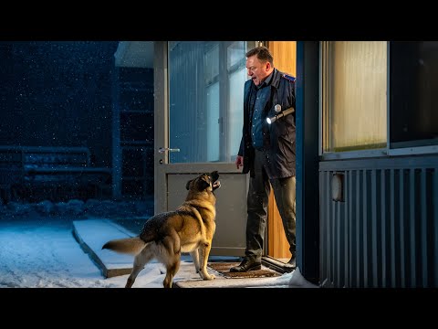 Видео: Он открыл дверь, увидел овчарку — и сразу понял, что СЧЁТ ИДЁТ НА МИНУТЫ