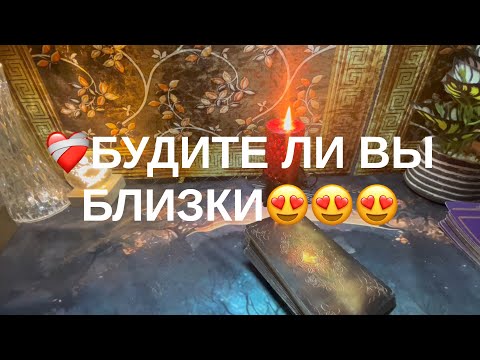 Видео: 10 ноября 2025 г.