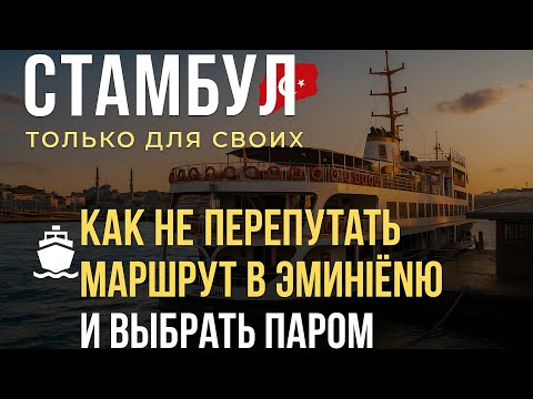 Видео: 30 мая 2025 г.