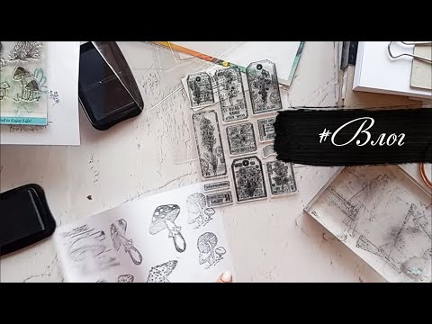 Видео: #Скрап влог. Много новых штампов и процессы!