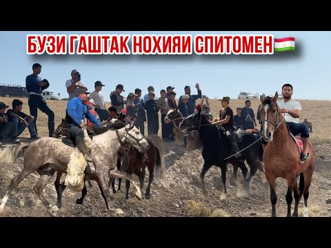 Видео: Бузкаши гаштак ноҳияи Спитомен 8 октября 2025 г.