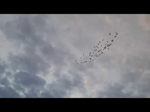 Видео: 150 км. 18.05.2025