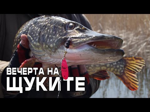 Видео: Вечерта на щуките (яз. Йовковци)