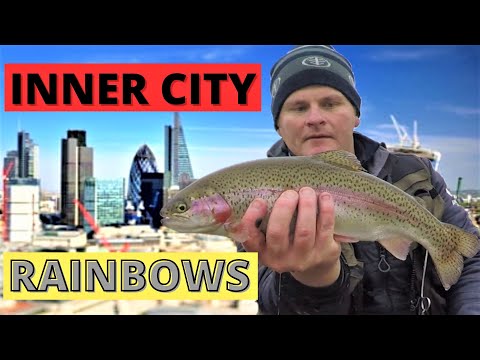 Видео: Радуги Внутреннего Города