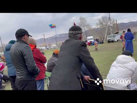 Видео: Хуреш - Чал-Кежиг суур Куулар Азиат В. чырыткылыг адынга тураскааткан. Соолгу салыглар