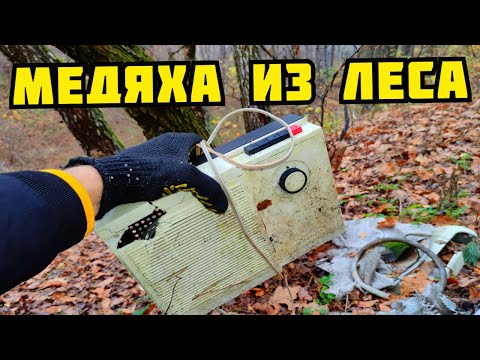 Видео: ПОИСК МЕДИ В ЛЕСУ! СКОЛЬКО МЕДИ В МАГНИТОФОНЕ СССР? РАЗБОР СТАРОЙ ТЕХНИКИ. КАК ЗАРАБОТАТЬ ДЕНЬГИ