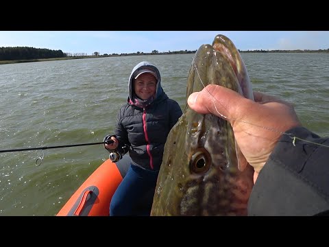 Видео: Трофейная щука жены. Ловля раттлинами в мутной воде