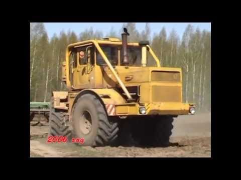 Видео: арефино